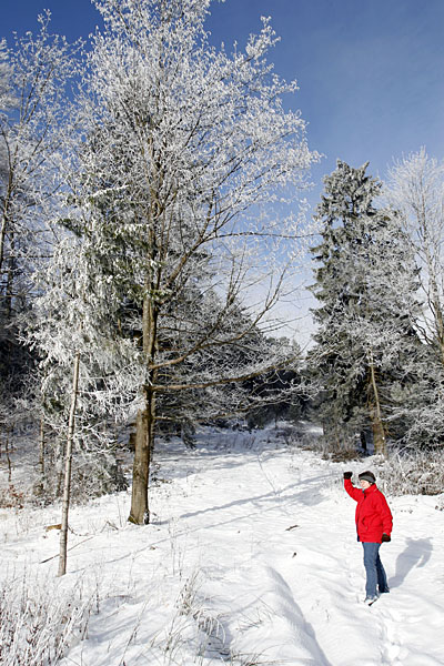 Noch ein Sonnenlichtblick
