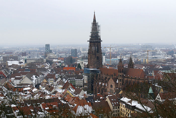 Das Freiburger Münster