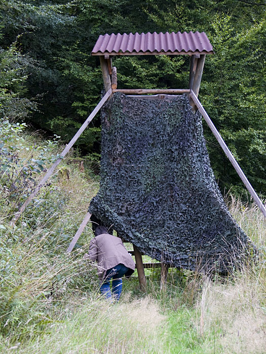 Mitten auf dem Weg steht ein Hochsitz