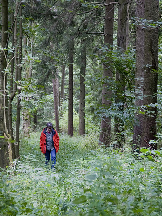 Manche Wege sind ziemlich zugewachsen