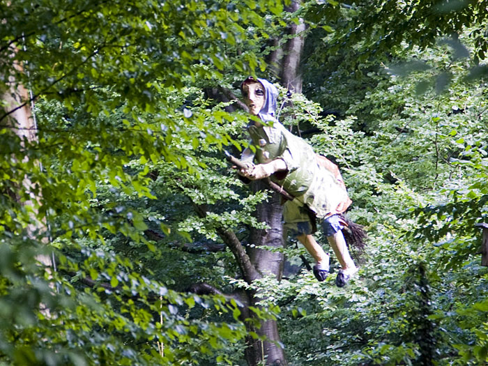 Hexen zischen durch den Wald ;-)