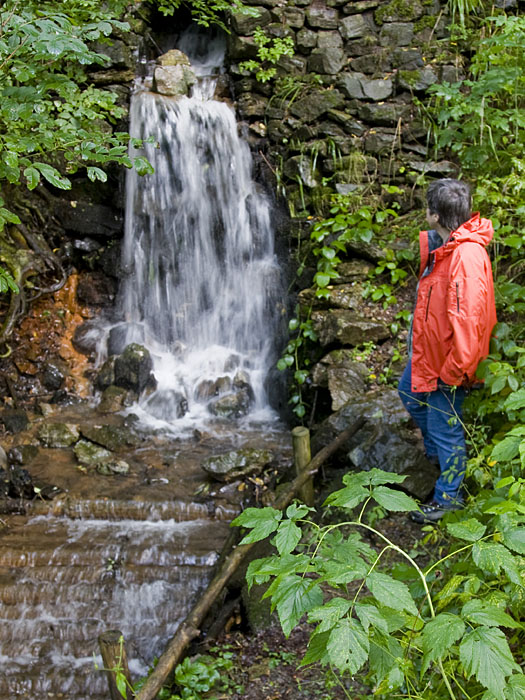 Bach im Wald