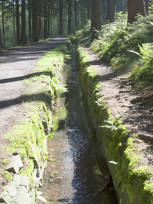 Graben zur Regulierung der Wasserstände