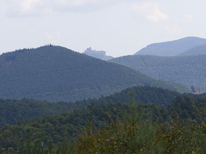 ... leider liegt die Burg Trifels etwas im Dunst