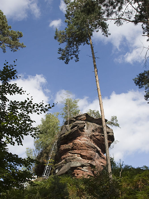 Der Hühnerstein