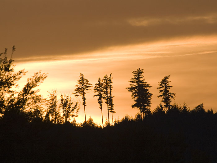 Wieder Zuhause, genießen wir den Sonnenuntergang