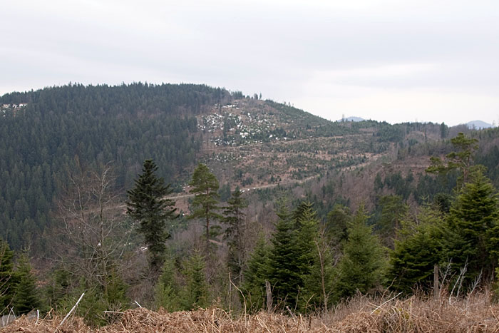 Gegenüber liegt der "Holländerkopf"