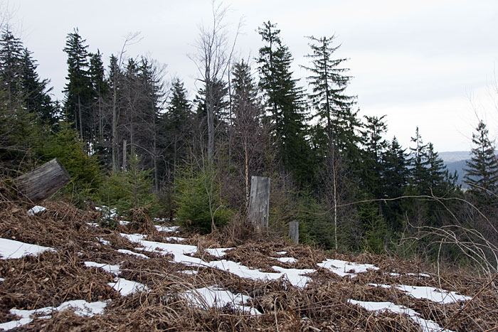 Die letzten Schneereste schmelzen dahin