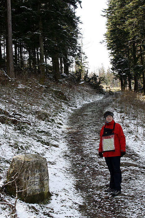 Immer weiter bergauf ...