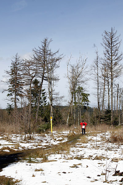 ... und endlich oben