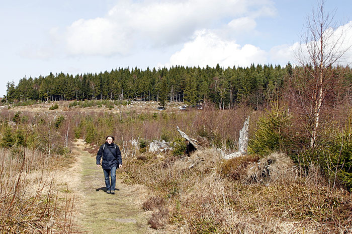 Schöner Weg durch das Hochmoor