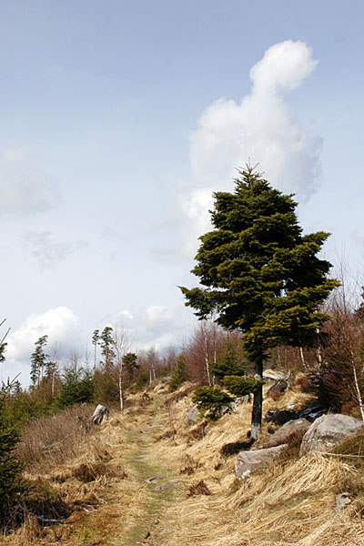 Weg zum Metzgerstein