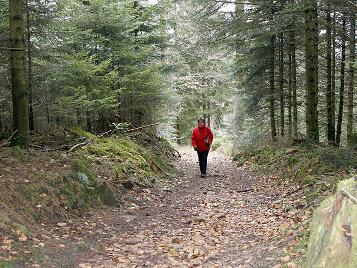 Erstmal geht es steil bergauf