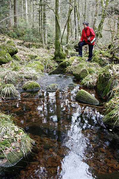 ... fließt in das Eyachtal