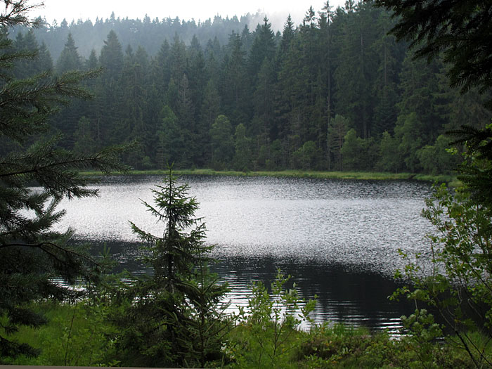 Am Herrenwieser See