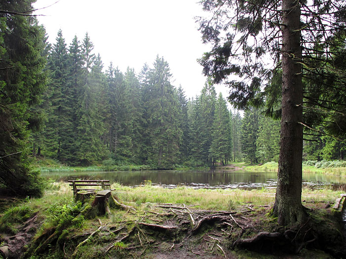 Am Sandsee