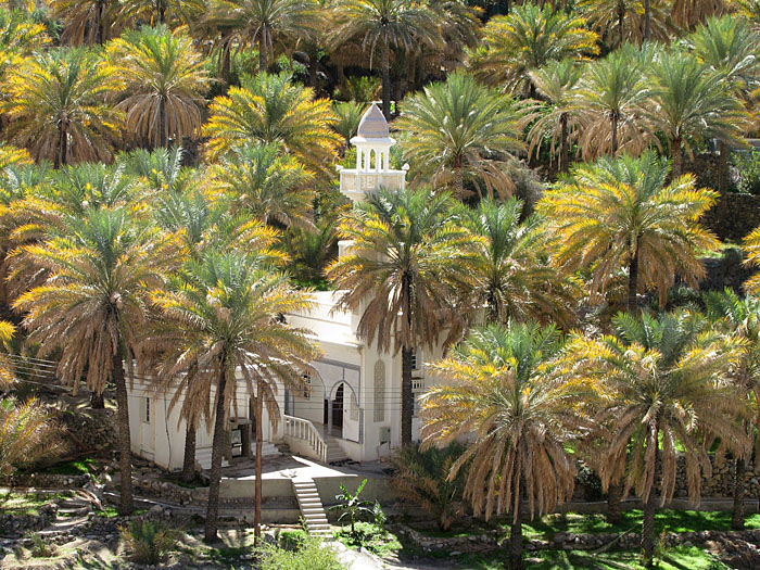 Kleine Moschee zwischen den Palmen