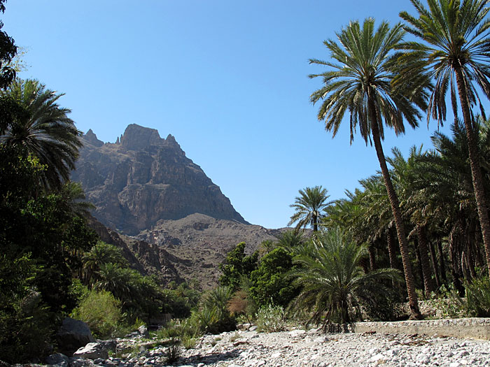 ... beginnen die Oasengärten