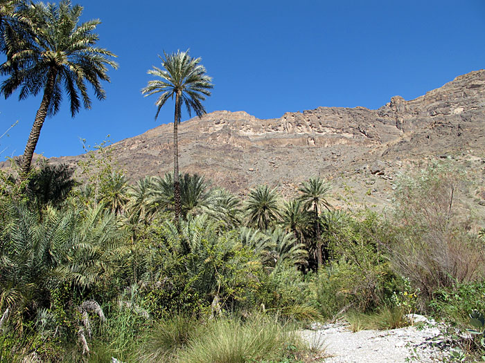 Wir laufen das Flussbett hinauf ...