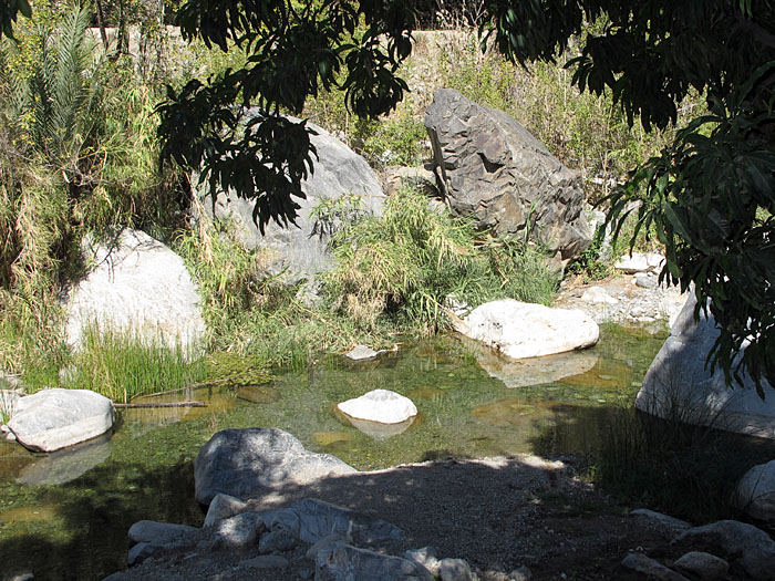 ... und suchen verborgene Wasserbecken