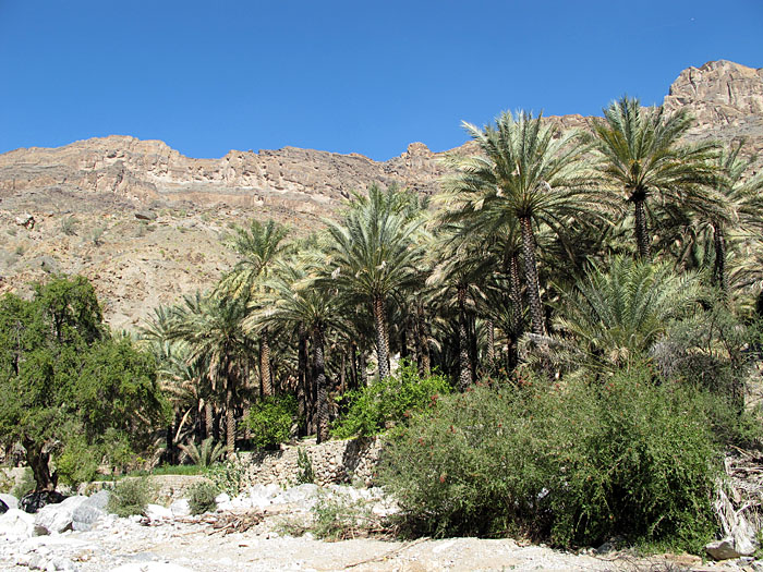 Der Schatten verspricht Kühle