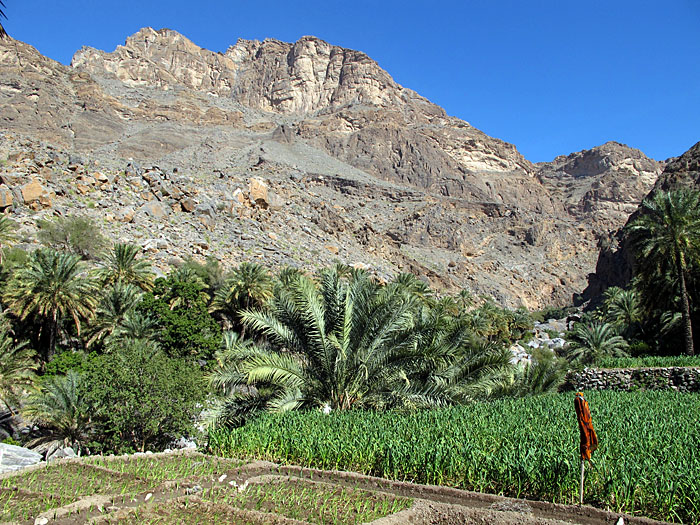 ... und fruchtbare Felder