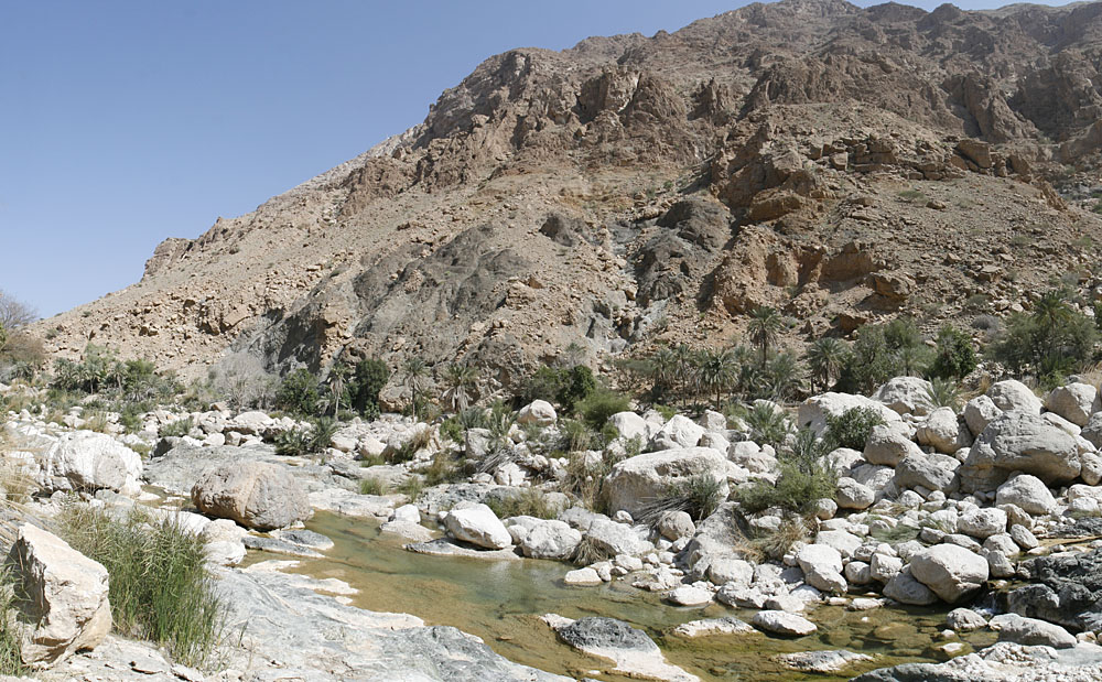 Im Wadi Tiwi