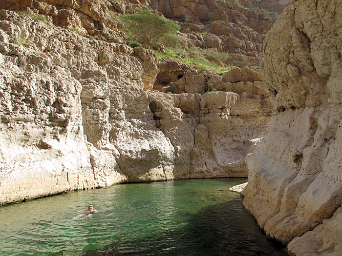 Sowas ist Vronis Revier