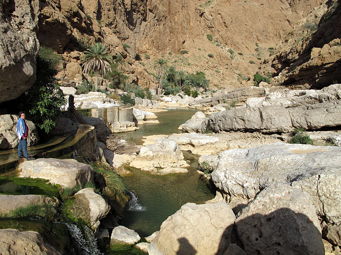 Palmen, Wasserbecken und eine schöne Berglandschaft ...