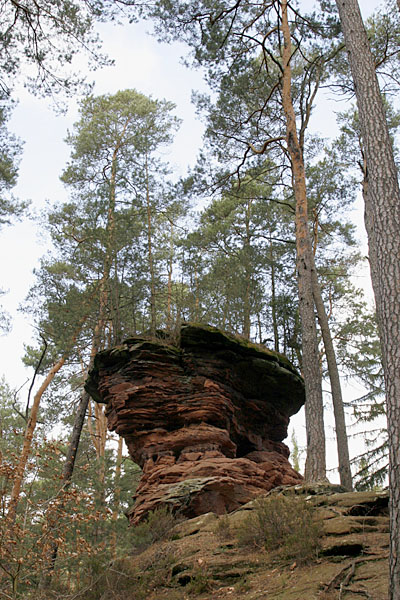 Zahlreiche Sandsteinfelsen, so wie dieser, sind die Namensgeber des Felsenpfades