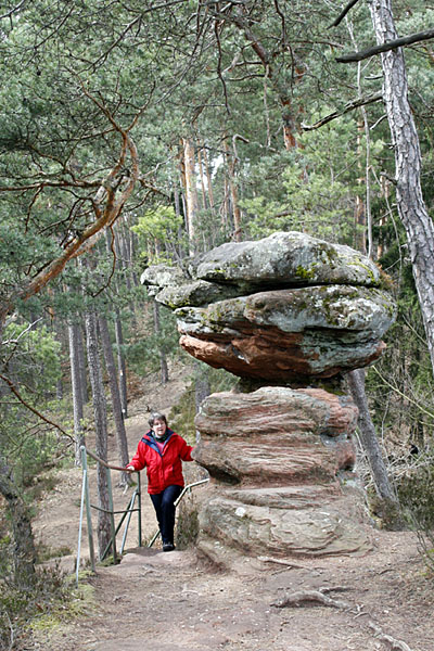 Pilzförmiger Kamerad