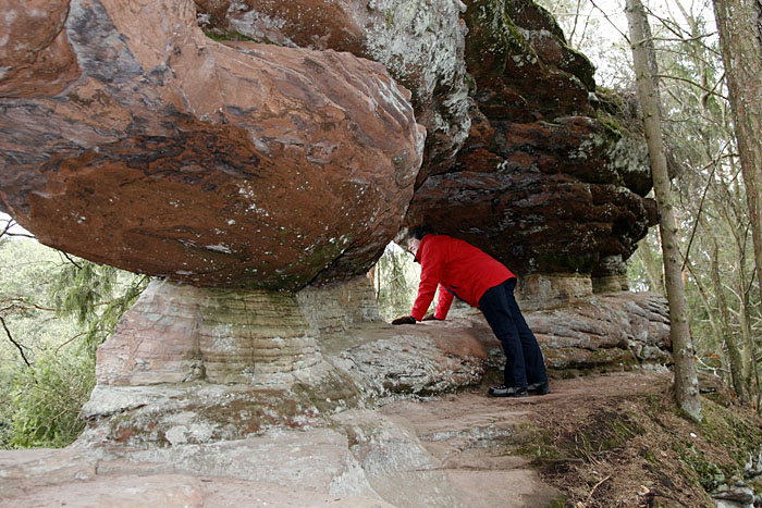 ... finden sich überall an den Felsen