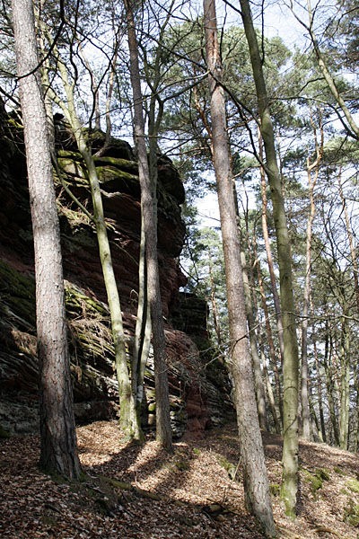 Auf der Rückseite des Büttelfels