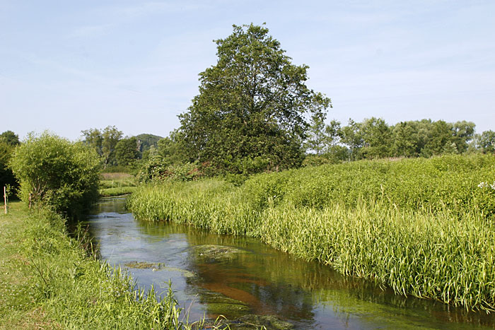 Die Wanderung am zu Beginn am Saarbach entlang 
