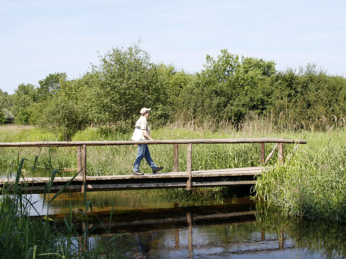 Trockenen Fußes über den Saarbach