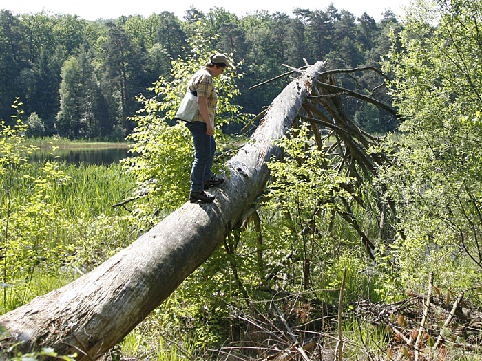 Vroni als Klettermaxe
