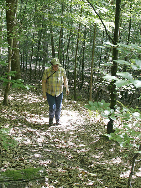 Anstieg zum Lindelskopf