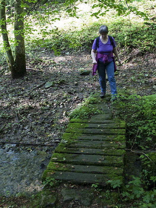 Schlüpfrige Brücke