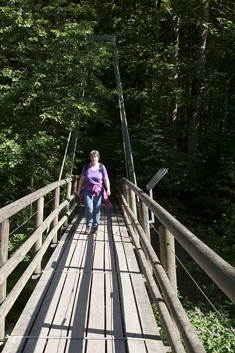 Mal sind die Brücken aus Holz ...