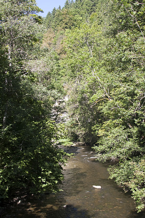 Wieder mal die Wutach