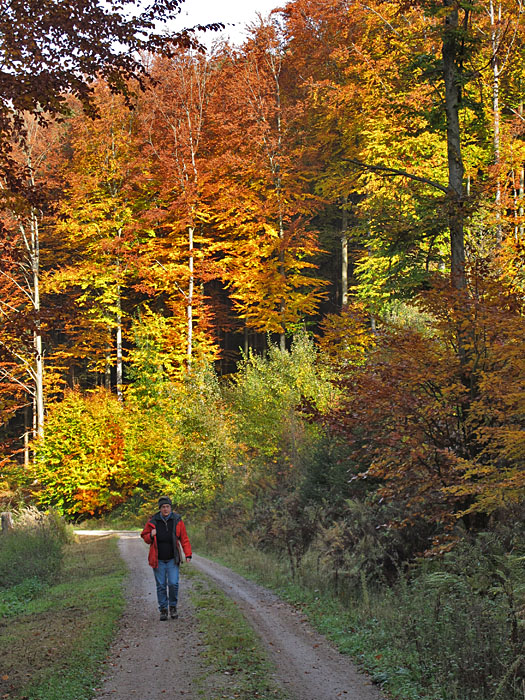 Immer nur bergauf :-(