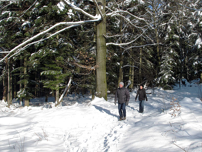 Unterwegs auf schmalen Pfaden