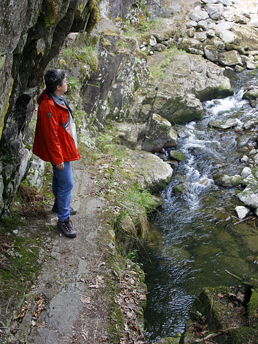 ... zum Ufer der Ohe