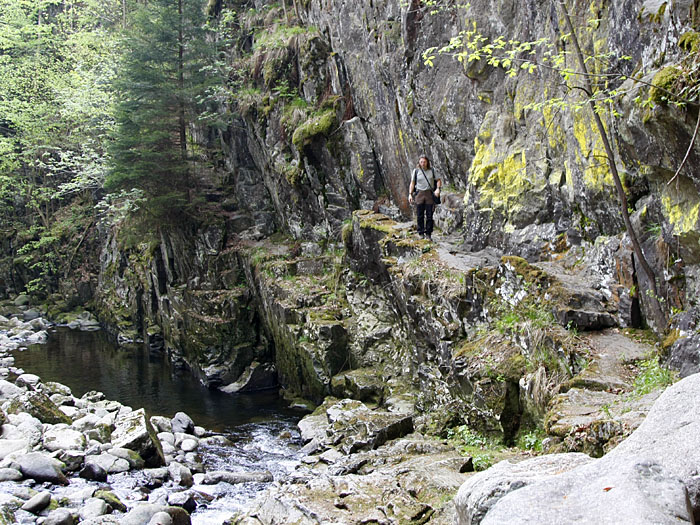 Diesen Steig kann man sich sparen ...