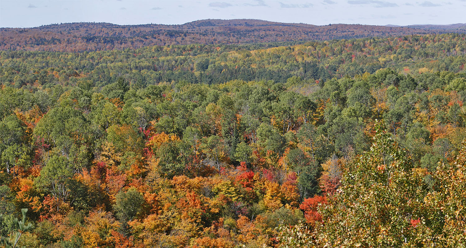 Lookout and Lookwide