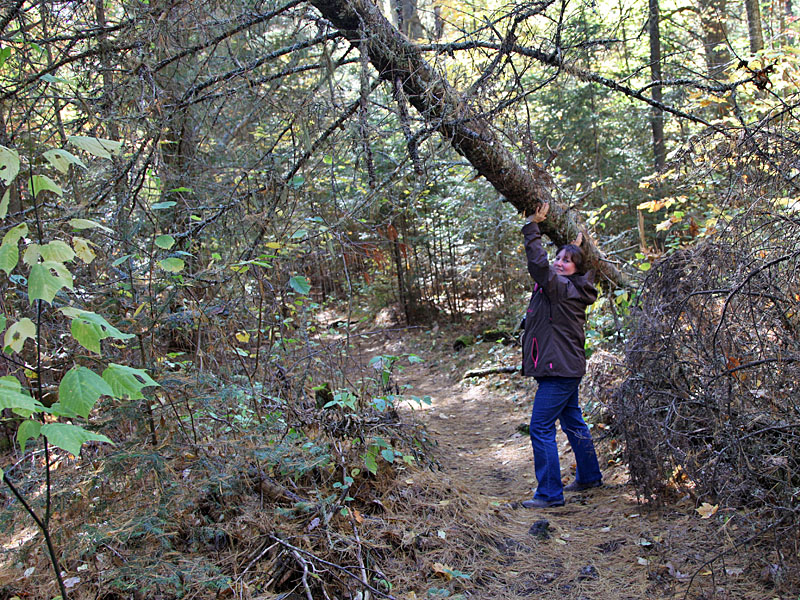 Wir machen den Weg frei