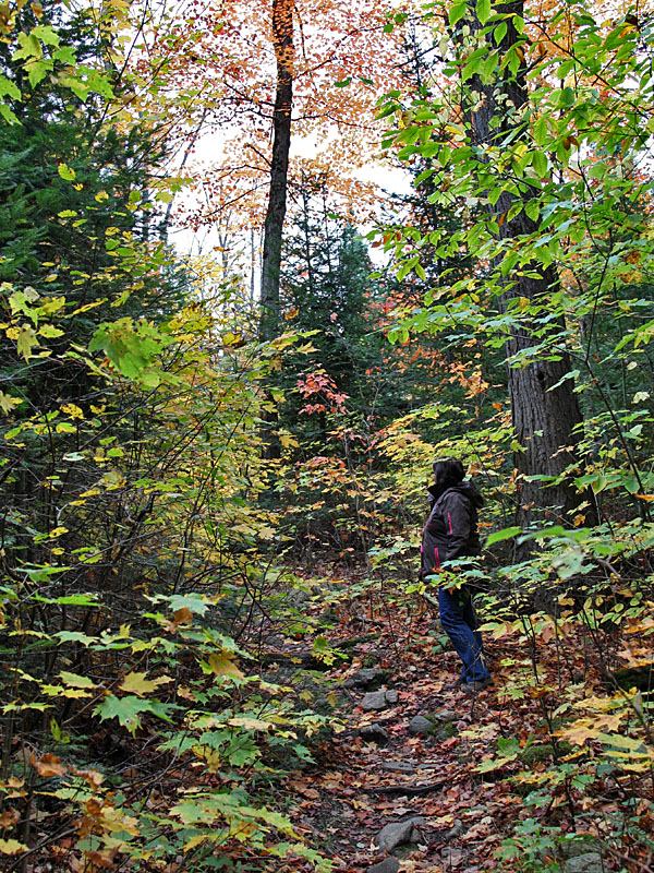 Auf dem Mizzi Lake Trail