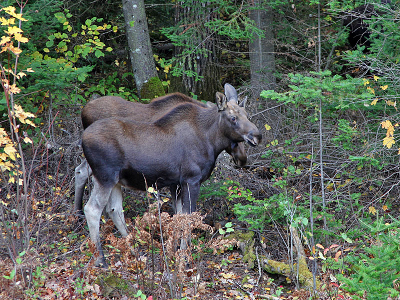 Die starrten uns genauso an wie wir sie