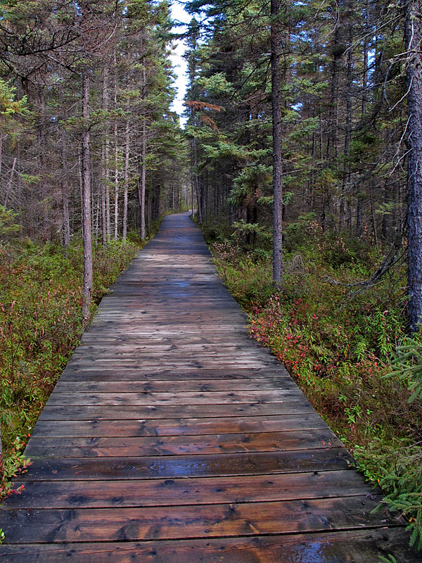 Die Wege verlaufen zum Teil über Stege