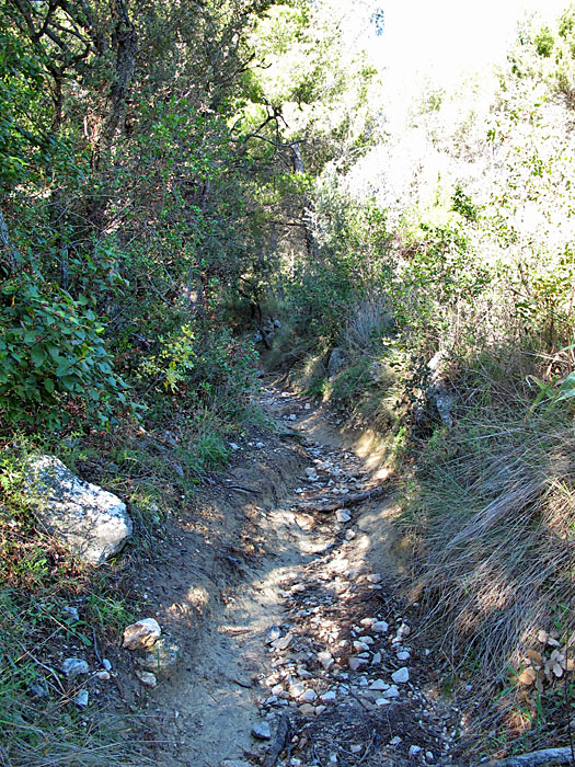 Es geht auch gleich zünftig los